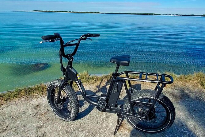 Electric Bike Wildlife & History Tour Along Fort De Sotos Beaches - Booking Information and Recommendations