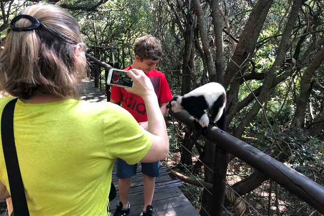 Elephant & Monkey Sanctuary Tour From Johannesburg - Preparing for the Tour