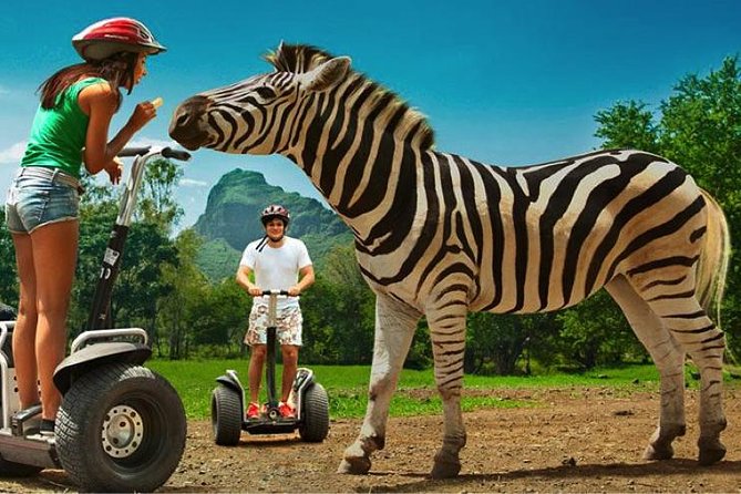 Enchanting South of Mauritius: Full-Day Tour Incl CASELA Park, Lunch & Transfer - Booking and Cancellation Policies