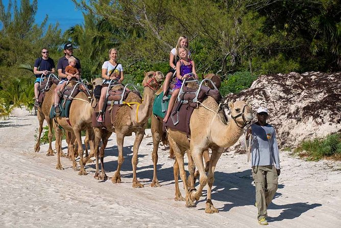 ENJOY UNIQUE CAMEL RIDE in Puerto Morelos With Transportation - Frequently Asked Questions