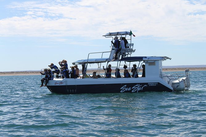 Espiritu Santo Island Snorkel & Sea Lion Adventure - Cuisine and Beverages