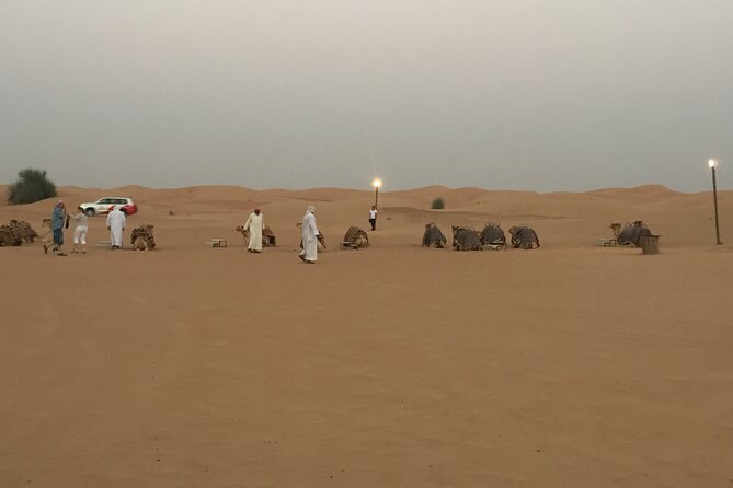 Evening Desert Safari Tour With Live Enterterment And BBQ Dinner - Tips for a Memorable Experience