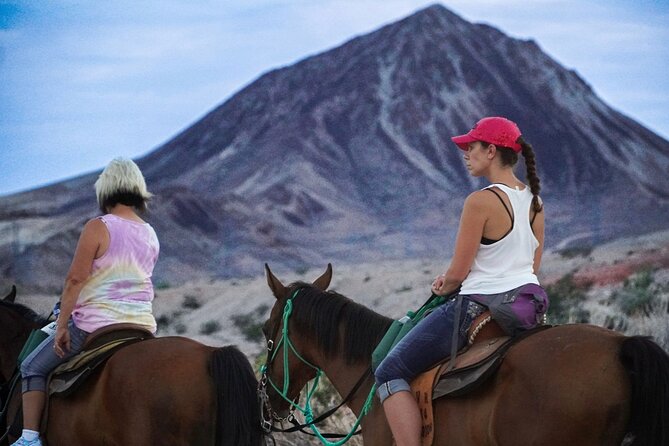 Evening Horseback Ride in Las Vegas - Customer Feedback and Experiences