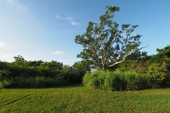Everglades National Park Self Guided Driving Audio Tour - Exploring the Everglades