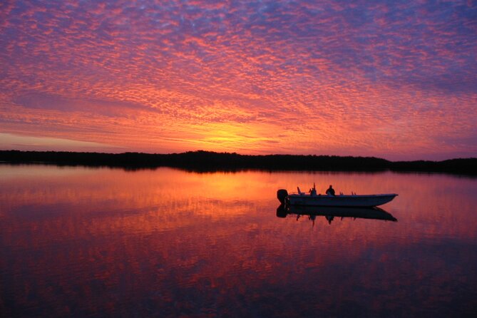 Everglades National Park Small Group Guided Boating and Walking Expedition - Alternative Tour Options Available