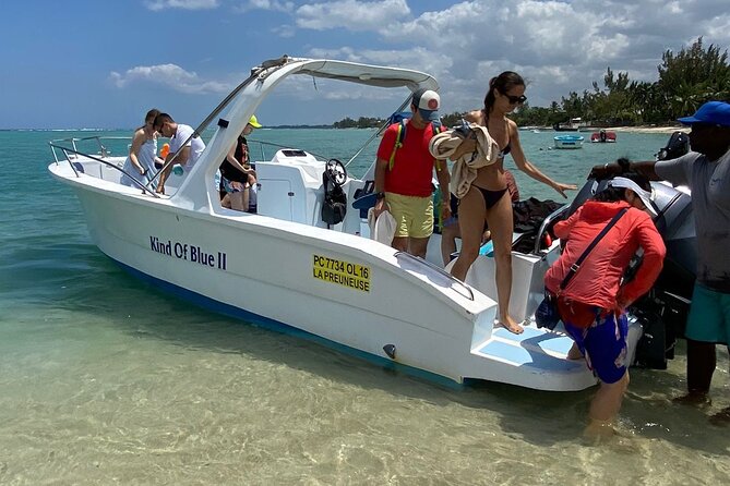 Exciting Dolphin Encounters in the Maurtiuss Lagoon - Interacting With the Dolphins