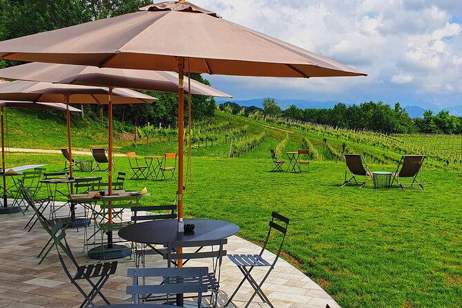 Exclusive Tour of the Vineyards With Visit to the Cellar! - Pricing and Availability