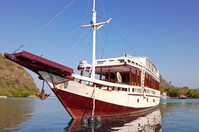 Explore Komodo and Swim With Whale Sharks - Reviews and Recommendations
