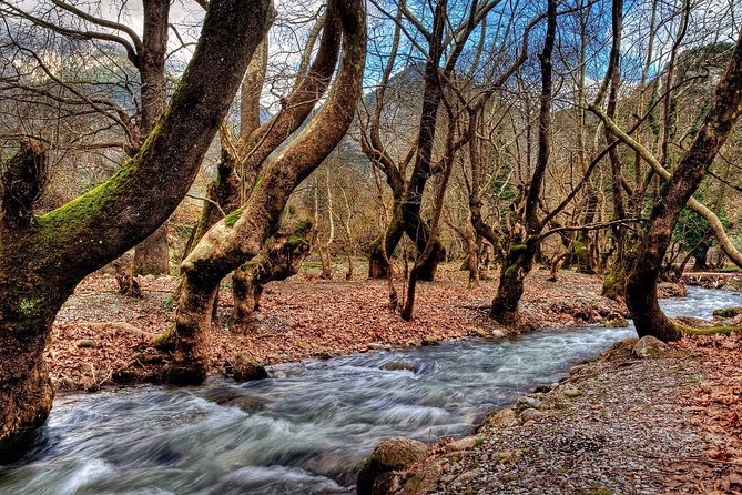 Explore Nature & History in Kalavryta - Traveler Feedback and Highlights