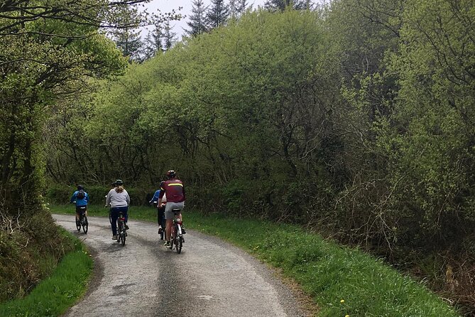 Explore North Cornwall on Electric Bikes - Booking and Pricing