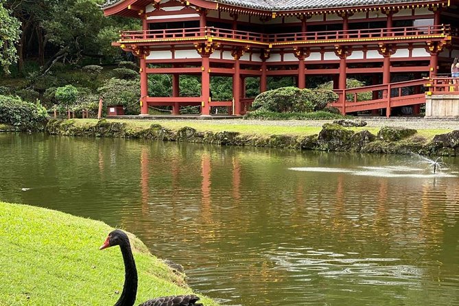 Explore O'Ahu Island With a Friendly Local in a Small Group - Things To Known