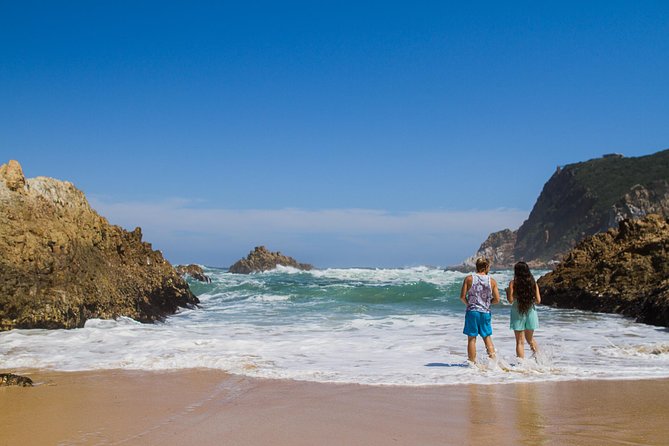 Explore the Garden Route From Cape Town - 4 Days - Traveler Reviews and Feedback