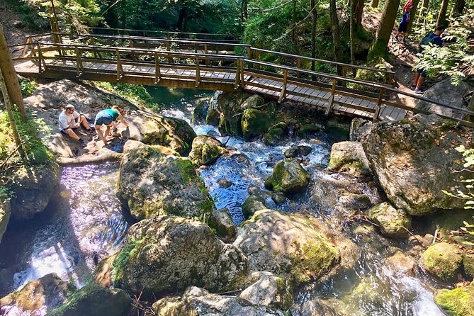 Exploring the Gutenstein Alps - Guest Reviews and Feedback