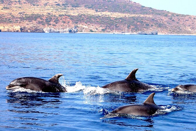 Fabulous Cruise to the Aeolian Islands on a Sailing Boat With Skipper - Traveler Capacity and Accessibility