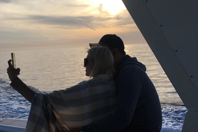 Family and Private Group Whale and Dolphin Watching - Booking Your Adventure
