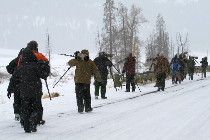 Family Friendly Private Tour at Yellowstone National Park W/Lunch - Wildlife Viewing Opportunities