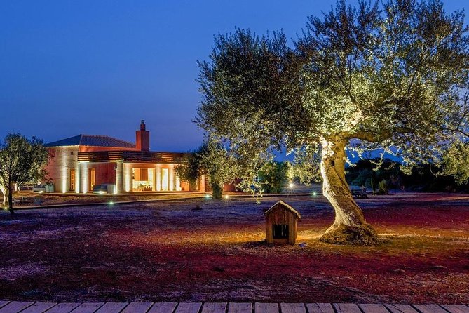 Farm-to-Table Cooking Class in an Organic Farm, Laconia, Greece! - Sum Up