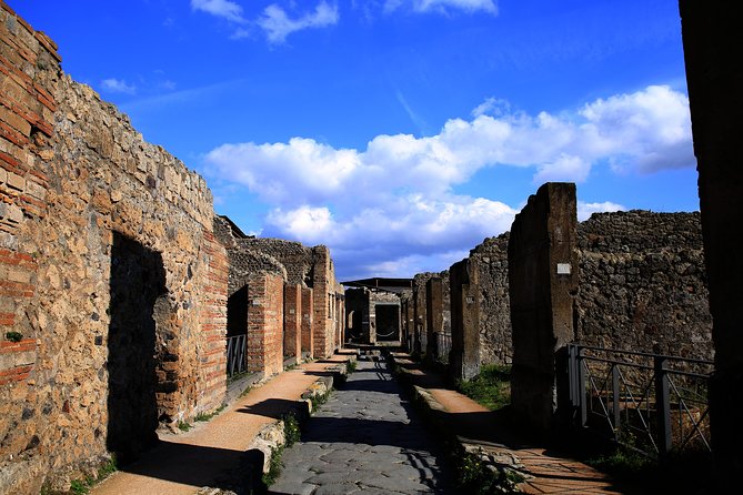 Fast Access Exclusive Private Ancient Pompeii Herculaneum & Oplontis Guided Tour - Viators Established Guidelines