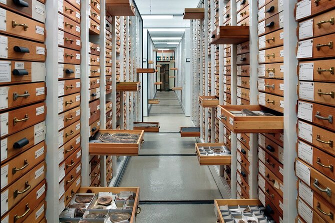 Field Museum of Natural History Early Access Ticket - Preparing for Your Visit