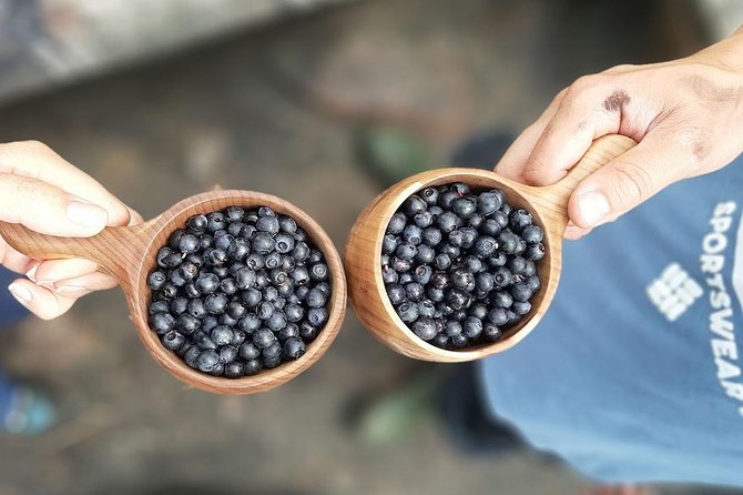 Finland Liesjarvi National Park Wild Berry Foraging Adventure  - Helsinki - Booking Reference