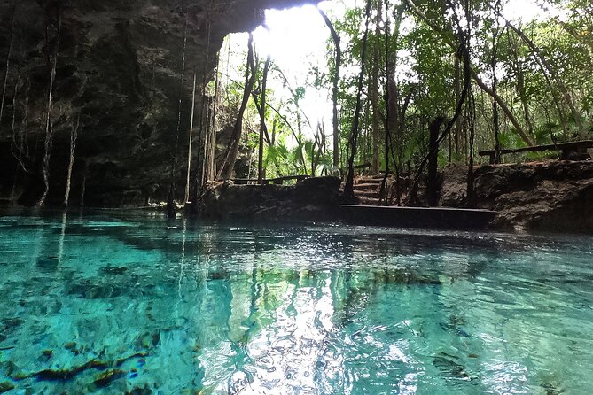 Five Cenotes Jungle Experience in the Riviera Maya - Positive Traveler Feedback