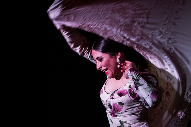 Flamenco Show at Café Ziryab: Madrid - Highlights of the Flamenco Show
