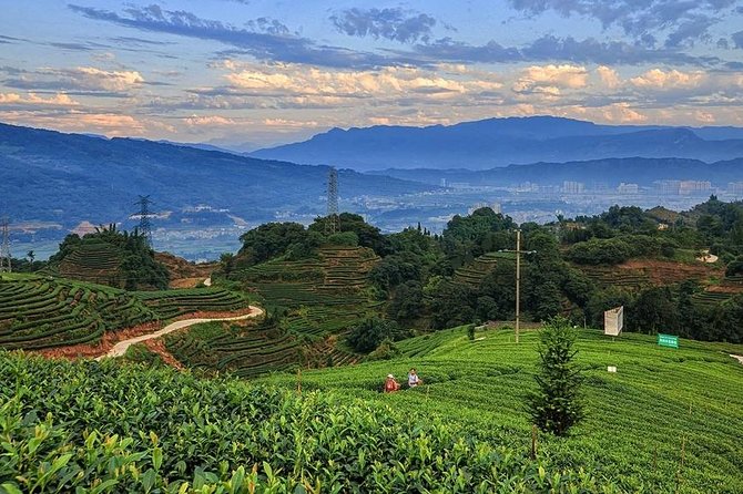 Flexible Hangzhou Private Day Tour With Lunch - Booking and Cancellation Policy
