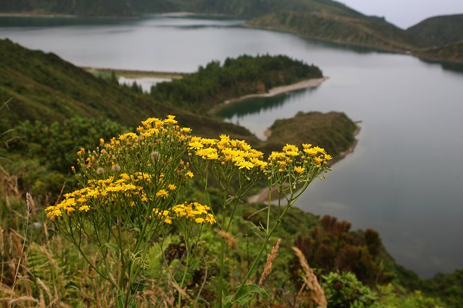 Fogo Lake Hiking Tour - Full Day - Travel Requirements