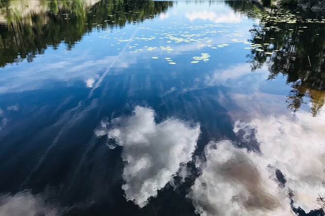 Forestbathing and Natural Spring Water - in Stockholm Nature - Nourishing Vegetarian/Vegan Refreshments