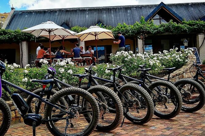 Franschhoek E-Bike Wine Tour (Half Day) - Traveler Reviews