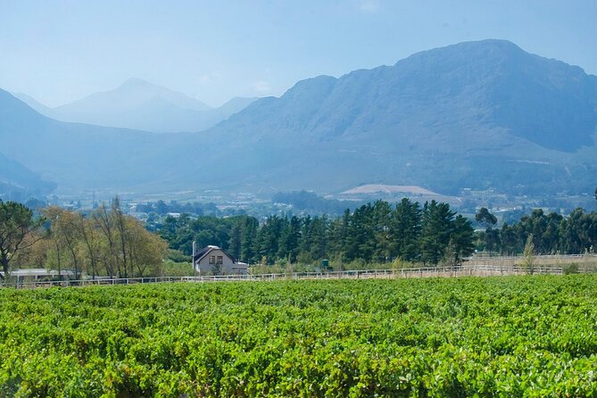 Franschhoek Half Day Winelands Cycle Tour - Tips for an Enjoyable Experience