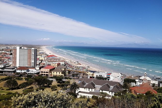 From CapeTown:TableMountain,Penguins &Wine Testing in Constantia - Pricing and Booking Options