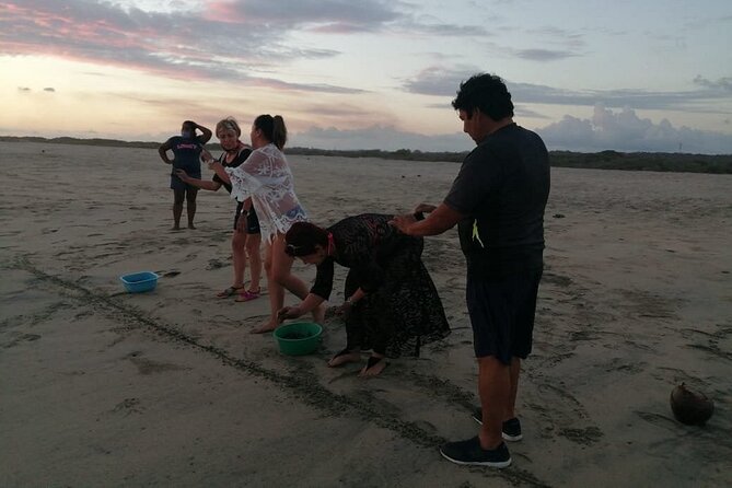 From Huatulco: Turtle Release & Bioluminescence - Guest Feedback and Ratings