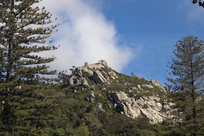 From Lisbon: Nazaré and Óbidos Private Tour - Customer Reviews and Ratings