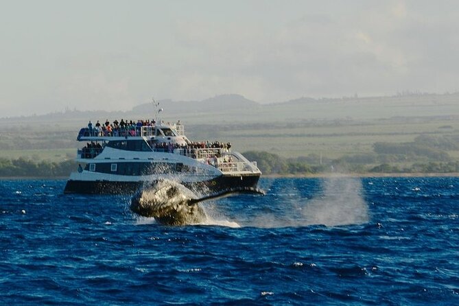 From Maalaea Harbor: Afternoon Whale Watch Cruise Aboard Calypso - Booking and Cancellation Policy