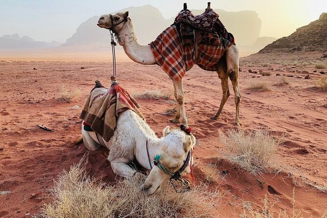 Full Day 4x4 Classic Desert Tour With Overnight in Private Tent - Additional Considerations