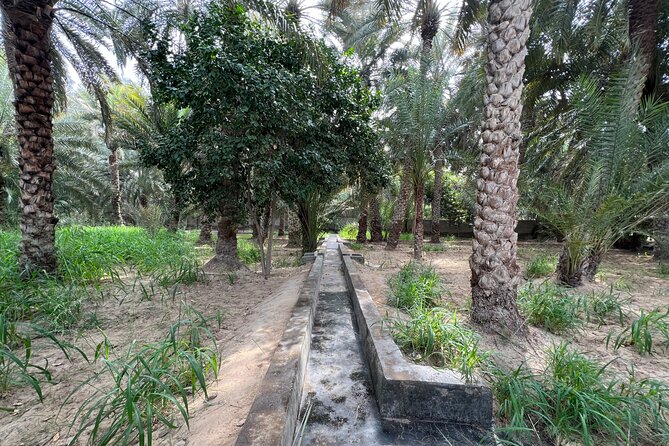 Full Day Al Ain City Tour With Lunch - Frequently Asked Questions