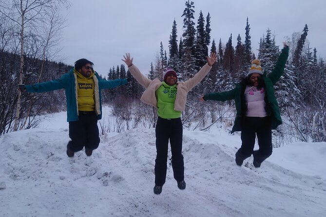 Full Day Arctic Circle Tour - Tips for an Enjoyable Experience