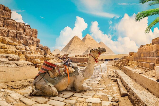 Full Day Cairo Guided Tour Pyramids and Museum, Lunch - Hurghada - Travel Tips