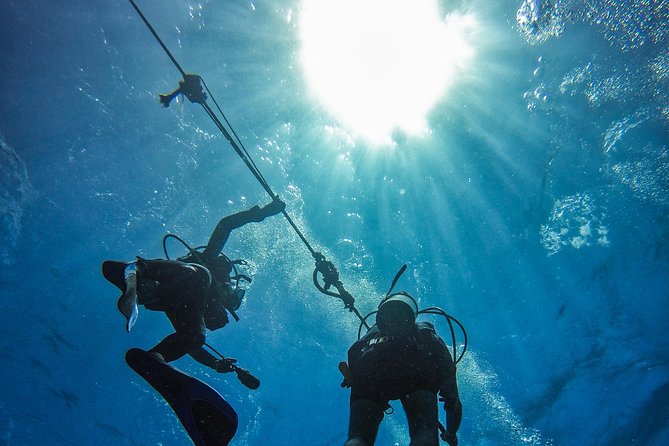 Full-Day Catalina Island Scuba Diving Tour From La Romana - Customer Feedback