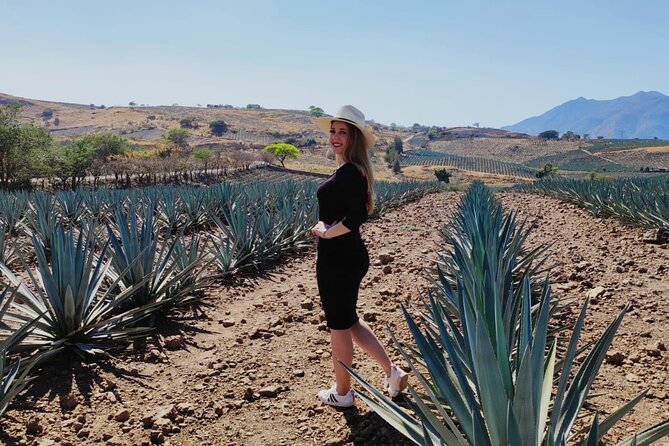 Full Day in Tequila With Tasting and Party in Cantaritos - Group Bonding and Atmosphere
