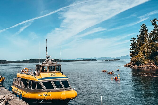 Full Day Kayaking Adventure on Vancouver Island - Memorable Moments and Testimonials