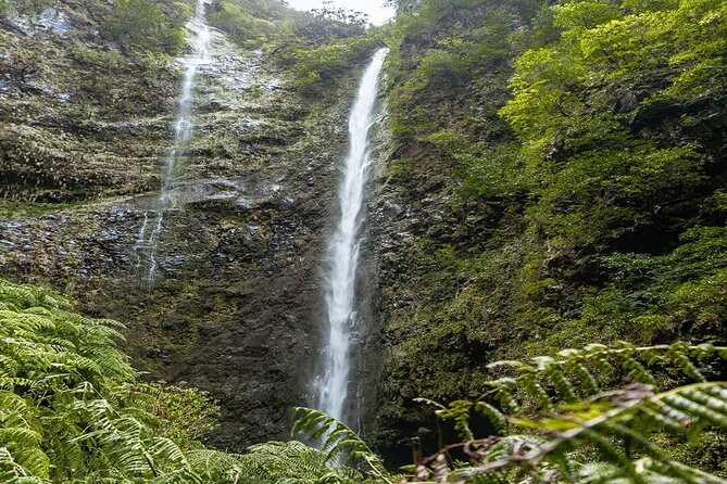 Full-Day Self Guided Hike in Caldeirão Verde Levada - Recommendations for Hikers