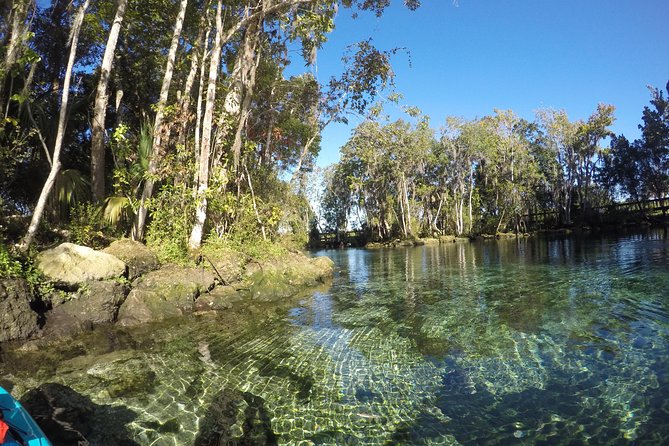 Full Day Single Kayak Rental In Crystal River - Sum Up
