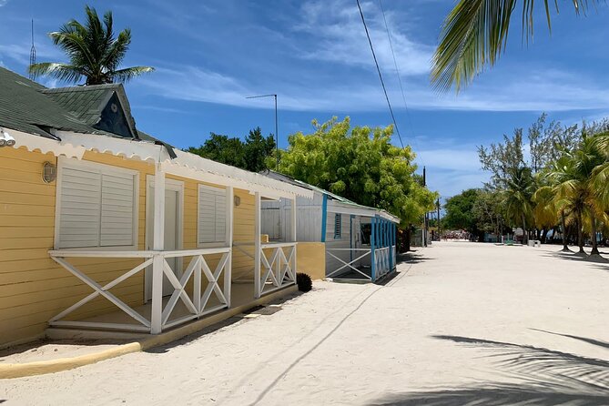 Full Day Tour to Isla Saona and Altos De Chavon - Tour Highlights