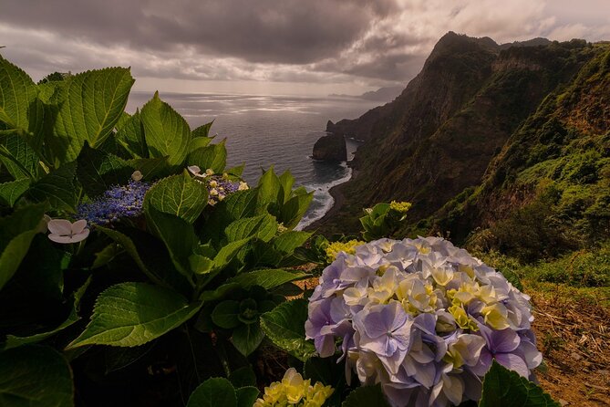 Full Day Tour to West Madeira Island - Frequently Asked Questions