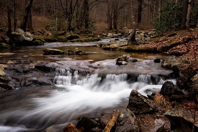 Full-Day Tour With Instruction in Vistas & Waterfall Photography - Participant Experience and Reviews