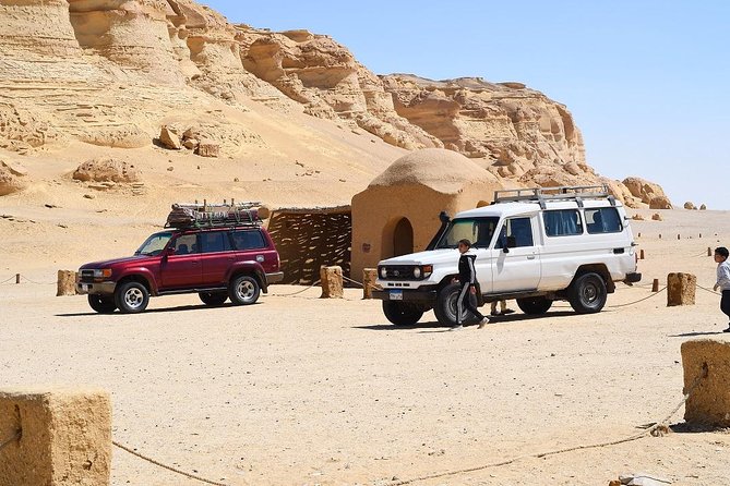 Full Day Trip to El-Fayoum Oasis & Wadi El-Hitan From Cairo - Booking and Cancellation