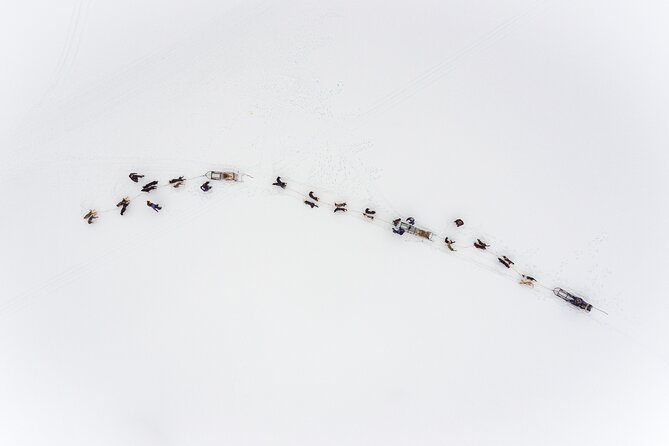 Fun & Easy Dog Sledding Adventure - Early Bird 08:10 - Booking Information and Cancellation Policy