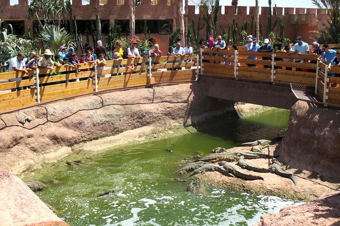 Goat on Trees & Crocodile Park Including Tickets and Hotel Pickup - Traveler Reviews and Feedback